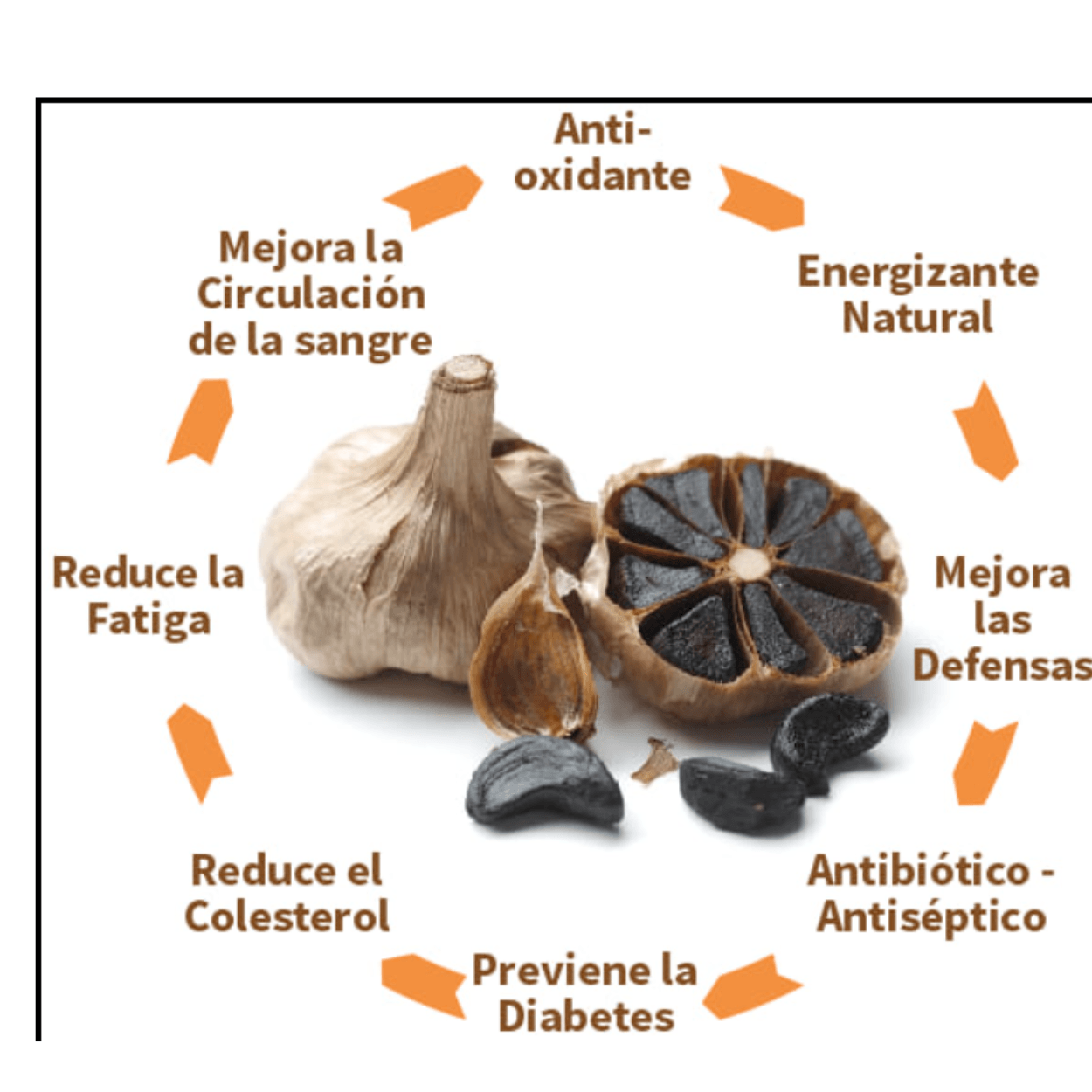 Ajo Negro Black Garlic 60 Cáps Migraña Presion Antioxidante - Imagen 3